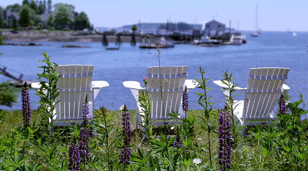 White chairs overlooking a serene lake with flowers in the foreground.