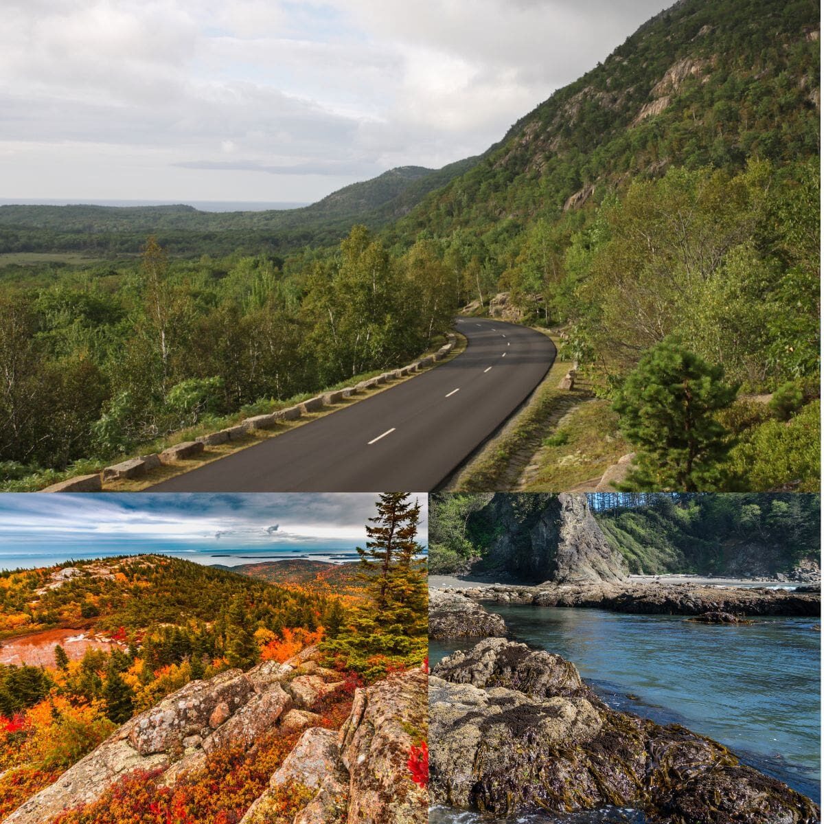 Park Loop Road in Acadia National Park Maine winding along the coastline with ocean views, featured in a self-guided scenic driving tour